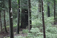 050726EOS_134.JPG