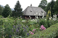 050726EOS_233.JPG