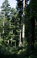 050727EOS_061.JPG