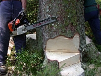 050728CP9_012.JPG