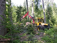 050728CP9_018.JPG