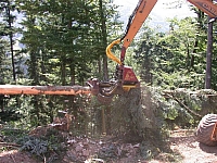 050728CP9_031.JPG