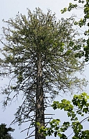 050728EOS_109.JPG