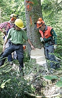 050728EOS_151.JPG