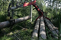 050728EOS_235.JPG