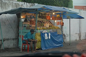 070919_003amazonia.JPG