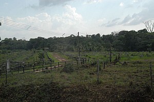 070920_079amazonia.JPG