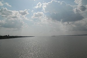 070920_081amazonia.JPG