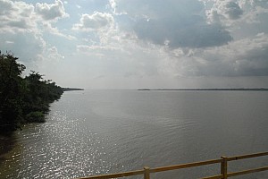 070920_082amazonia.JPG