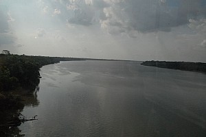070920_083amazonia.JPG