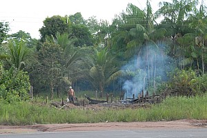 070920_085amazonia.JPG