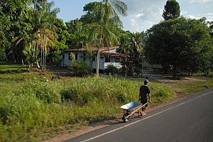 070920_093amazonia.JPG