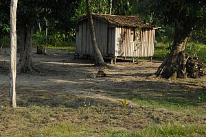 070920_095amazonia.JPG