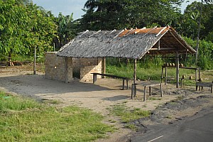 070920_096amazonia.JPG
