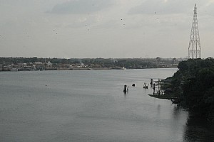070920_098amazonia.JPG