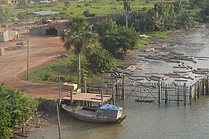 070920_101amazonia.JPG
