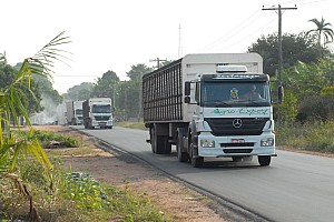 070920_107amazonia.JPG