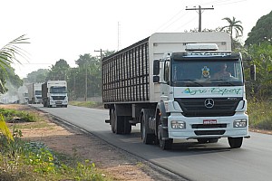 070920_108amazonia.JPG