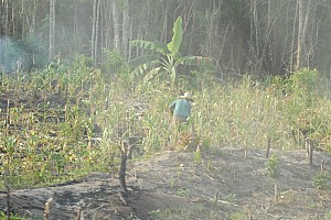 070920_113amazonia.JPG