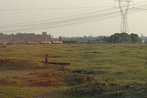 070920_130amazonia.JPG