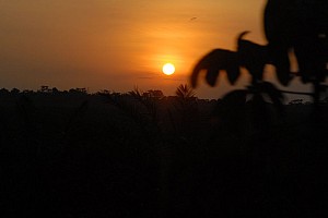 070920_134amazonia.JPG