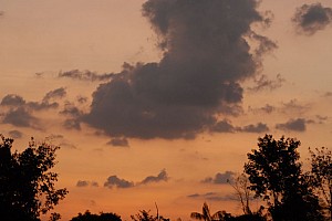 070920_135amazonia.JPG