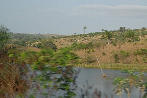 070921_019amazonia.JPG