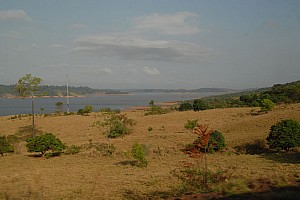 070921_023amazonia.JPG