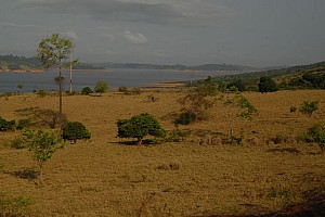 070921_024amazonia.JPG