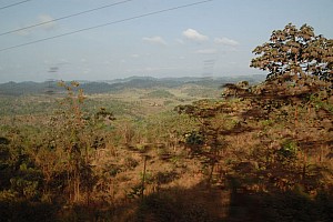 070921_029amazonia.JPG