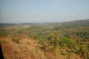 070921_030amazonia.JPG