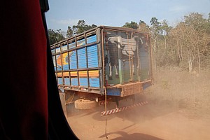 070921_050amazonia.JPG
