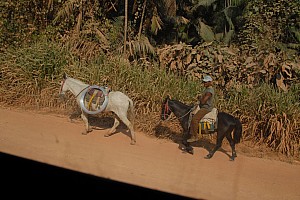 070921_056amazonia.JPG