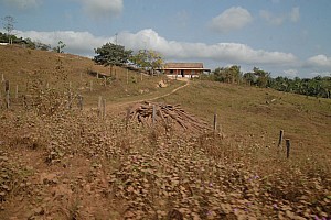 070921_057amazonia.JPG