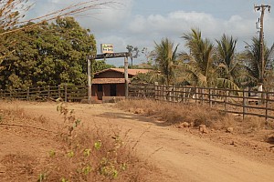 070921_059amazonia.JPG