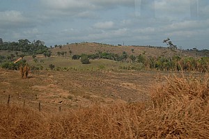 070921_063amazonia.JPG