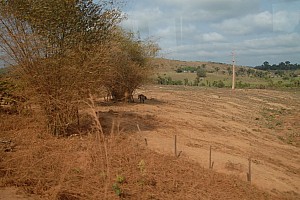 070921_064amazonia.JPG