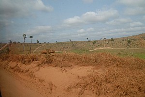 070921_065amazonia.JPG