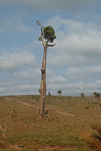 070921_067amazonia.JPG