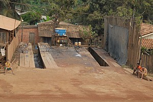 070921_077amazonia.JPG