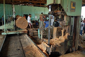 070921_130amazonia.JPG