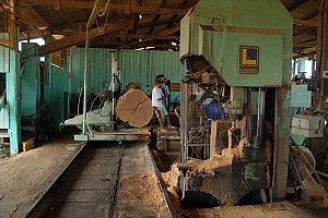 070921_132amazonia.JPG