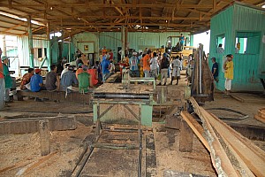 070921_137amazonia.JPG