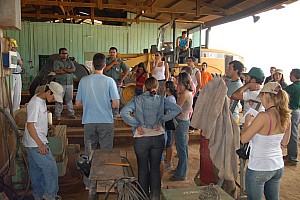 070921_141amazonia.JPG