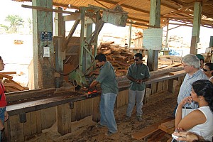 070921_150amazonia.JPG