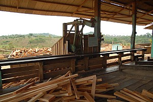 070921_154amazonia.JPG