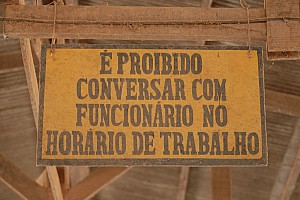 070921_156amazonia.JPG