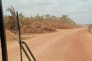 070921_173amazonia.JPG