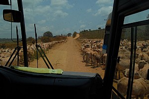 070921_183amazonia.JPG