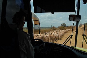 070921_184amazonia.JPG